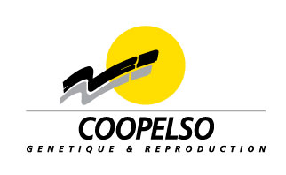 coopelso 2016