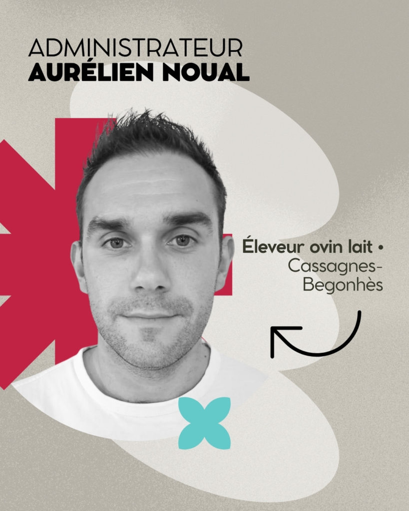 Aurélien Noual